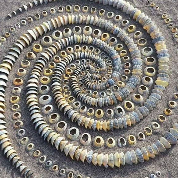 Meet your Posher, Gus - Picture 1 of 1